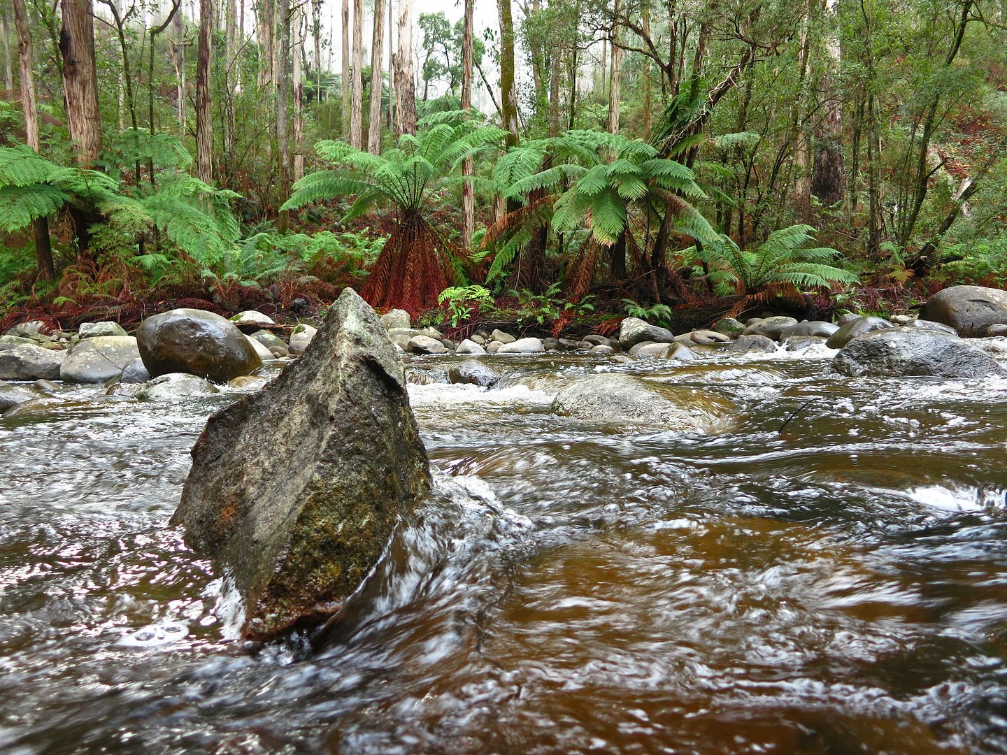 Rubicon Valley Historic Area 4x4Earth
